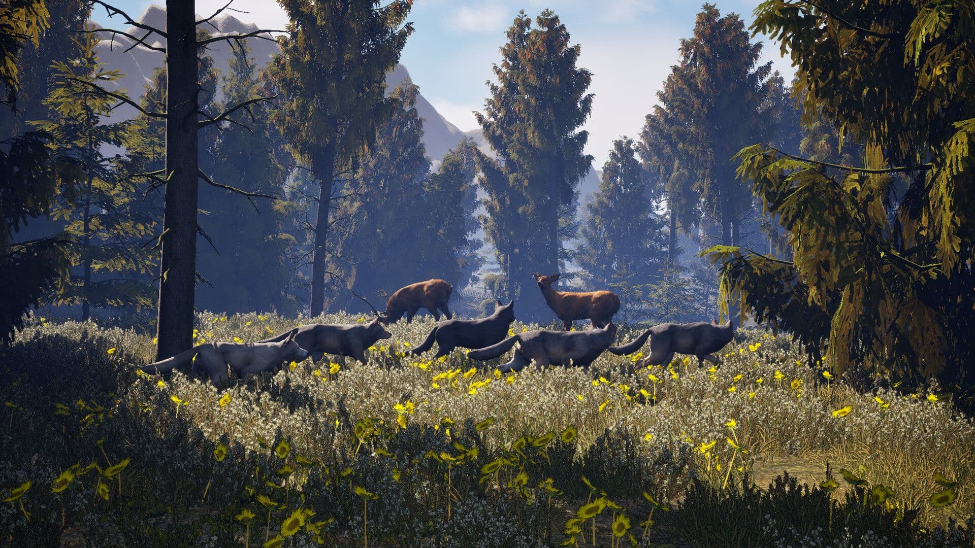 Susia: Live a Wolf's Life